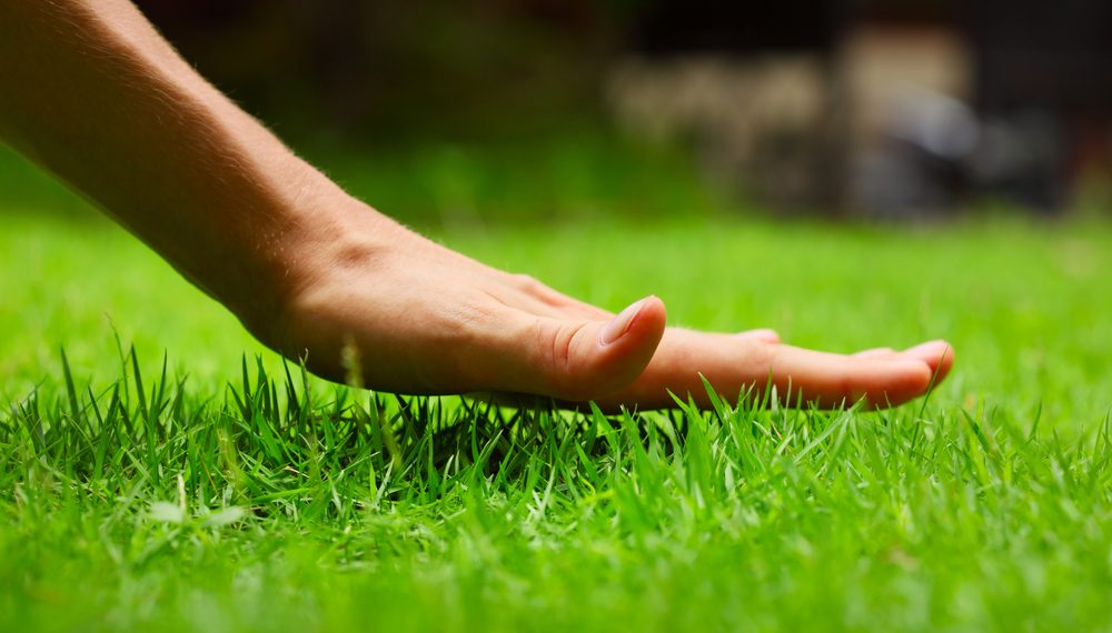 6 Tips for Starting a Commercial Lawn Care Business