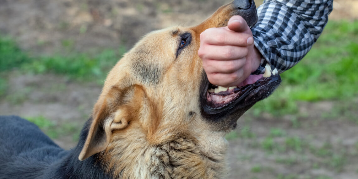 3 Facts You May Not Know About Dog Bite Cases