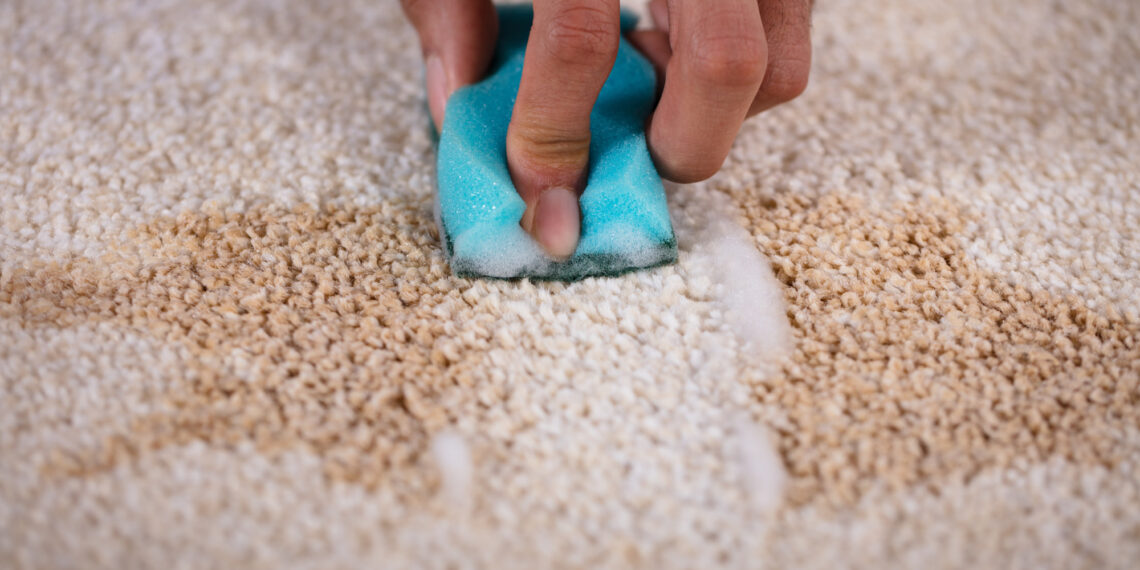 5 Steps on How to Properly Clean Your Carpet