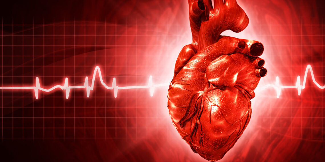 Heart Health: 5 Common Heart Conditions That You Need to Know About