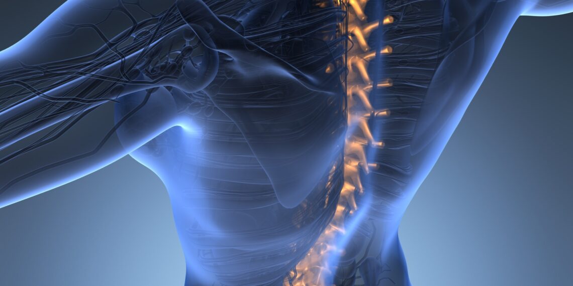 Everything You Need to Know About Spinal Injuries