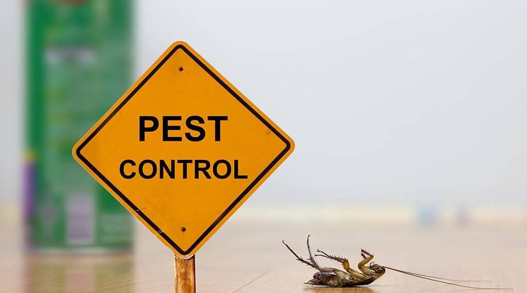 4 Benefits Of Pest Control That Will Help Every Business