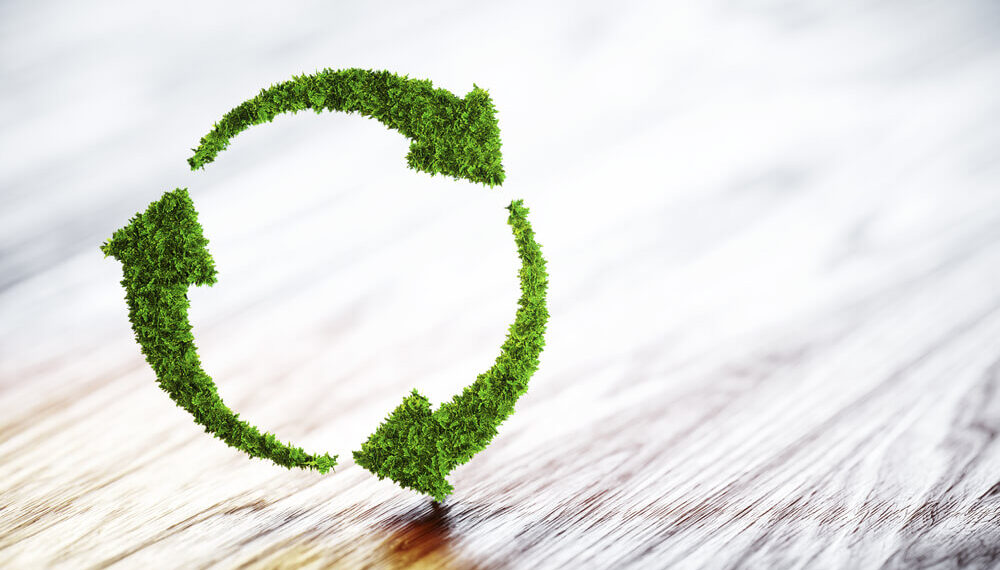 Sustainable Advertising Practices to Achieve Zero-Waste Marketing
