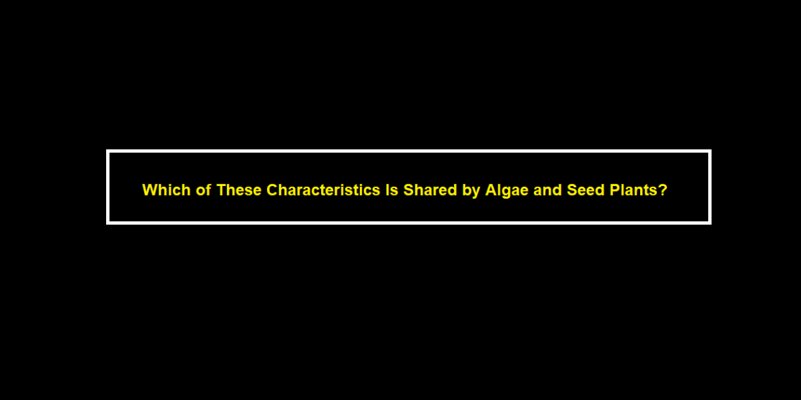 Which of These Characteristics Is Shared by Algae and Seed Plants?