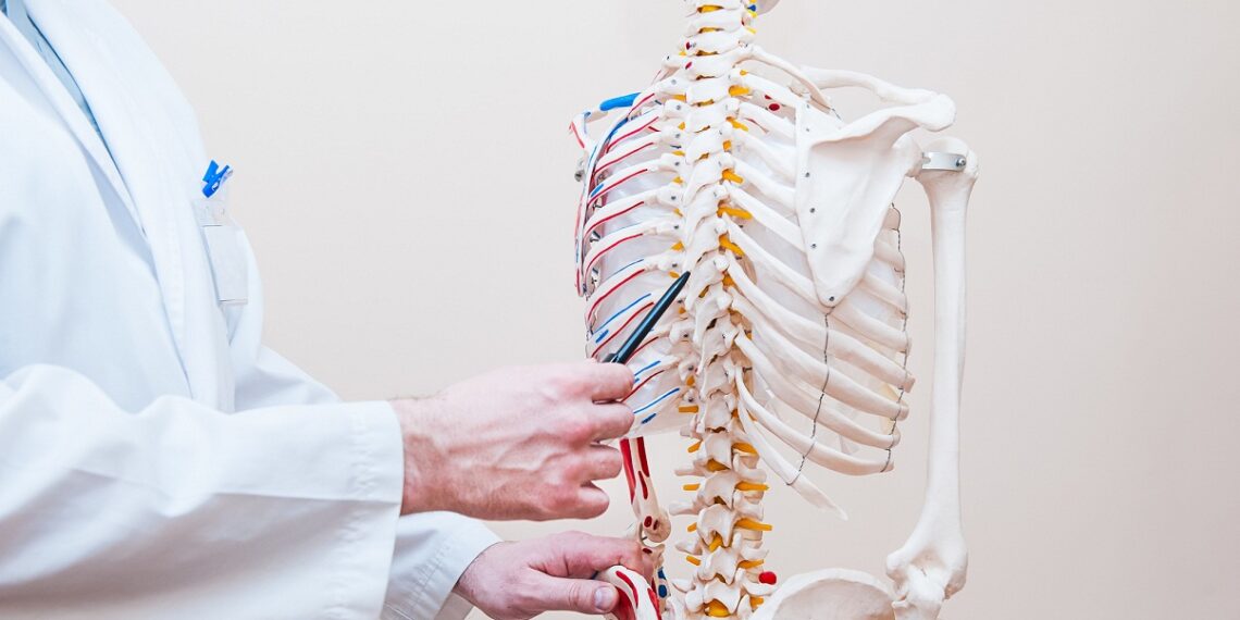 A Quick Guide to the Different Spinal Cord Injury Levels