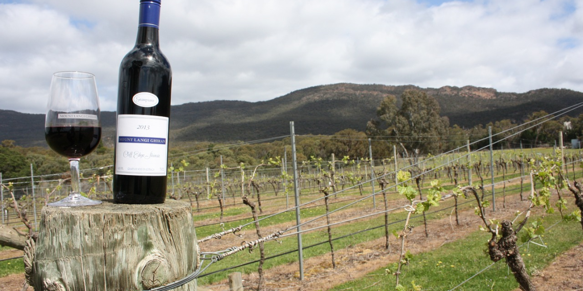 Top Aussie Wines You Must Try