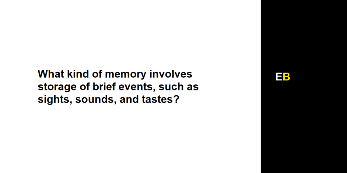 What kind of memory involves storage of brief events, such as sights, sounds, and tastes?