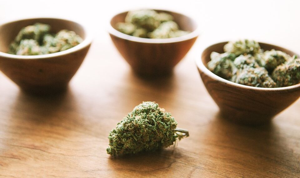 The Various Ways You Can Consume Cannabinoids