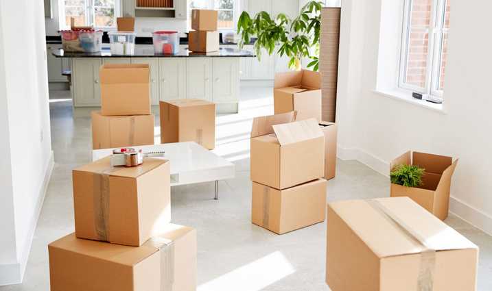Do You Know About These Best Moving Companies in Canada