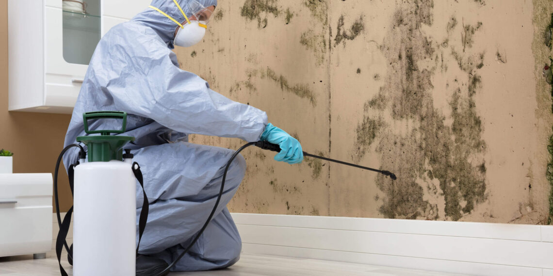 Benefits of Professional Mold Testing/Inspection