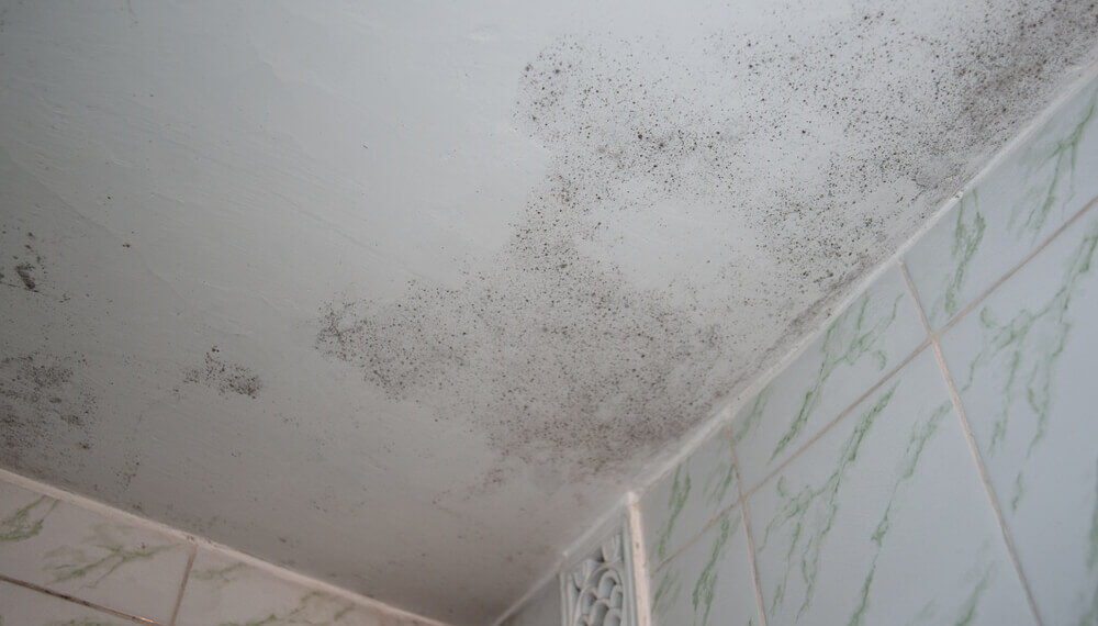 Put a Stop to Mold in Bathroom Ceiling
