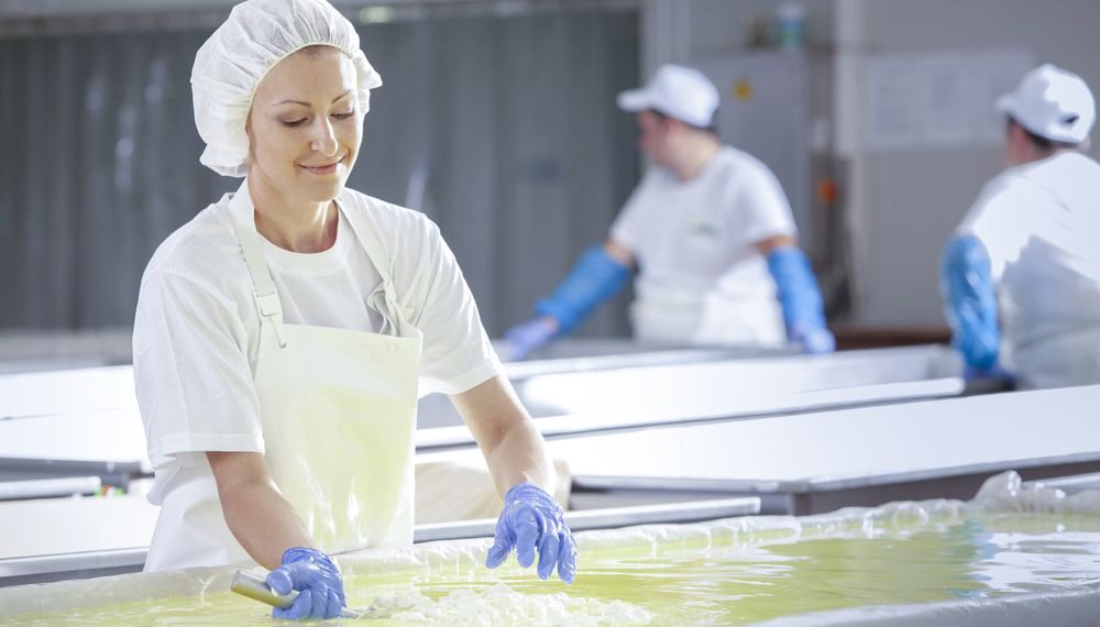 Ways To Maintain Safety In Your Food Processing Business