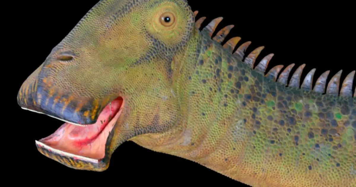 What Dinosaur Has 500 Teeth