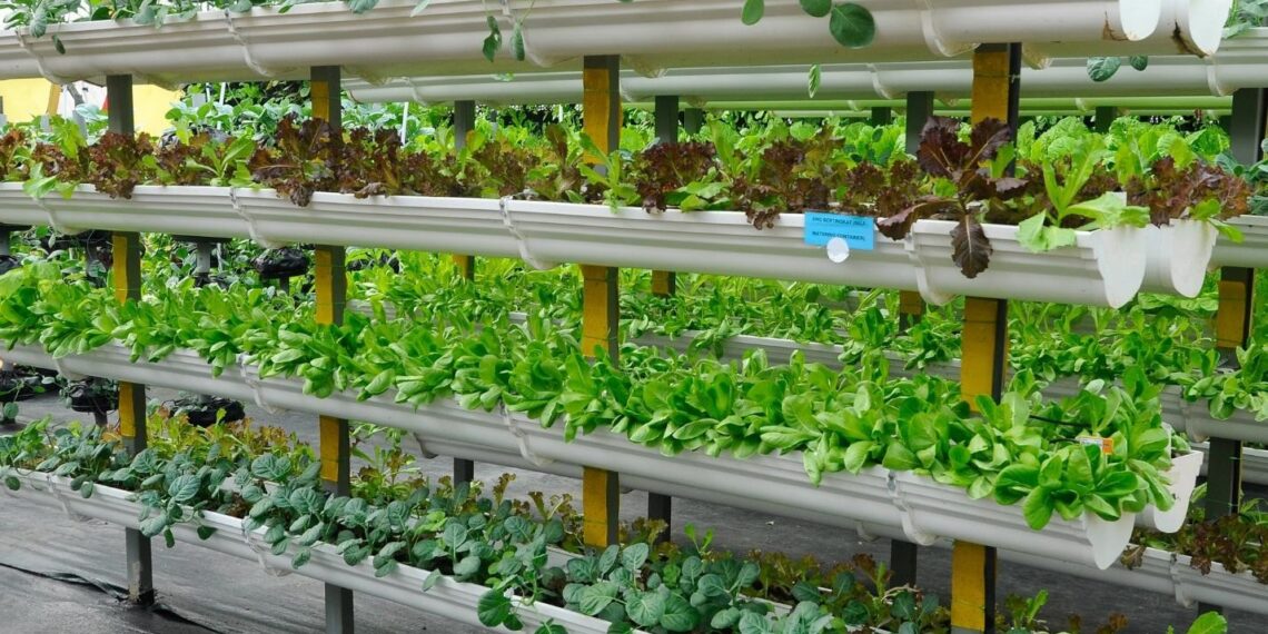 Urban Farming with Greenhouses