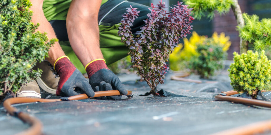 Starting Your Own Landscaping Business from Scratch