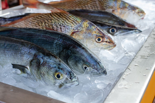 How To Buy Fish Online In Singapore