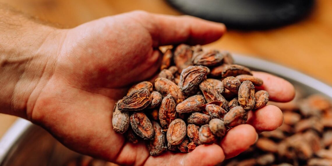 What Exactly the Benefits of Organic Cacao Beans Are to Our Health