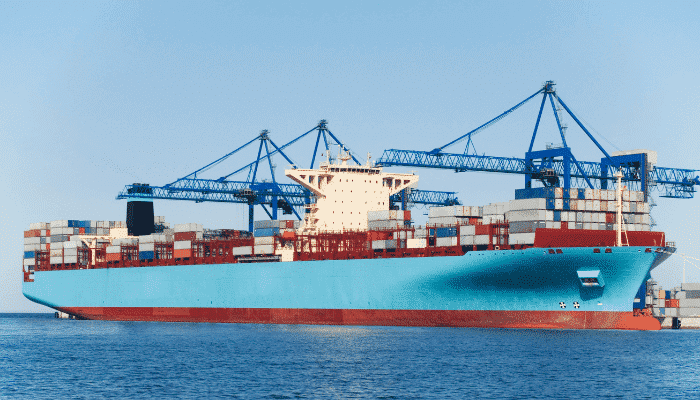 Cargo Shipping Service Organization