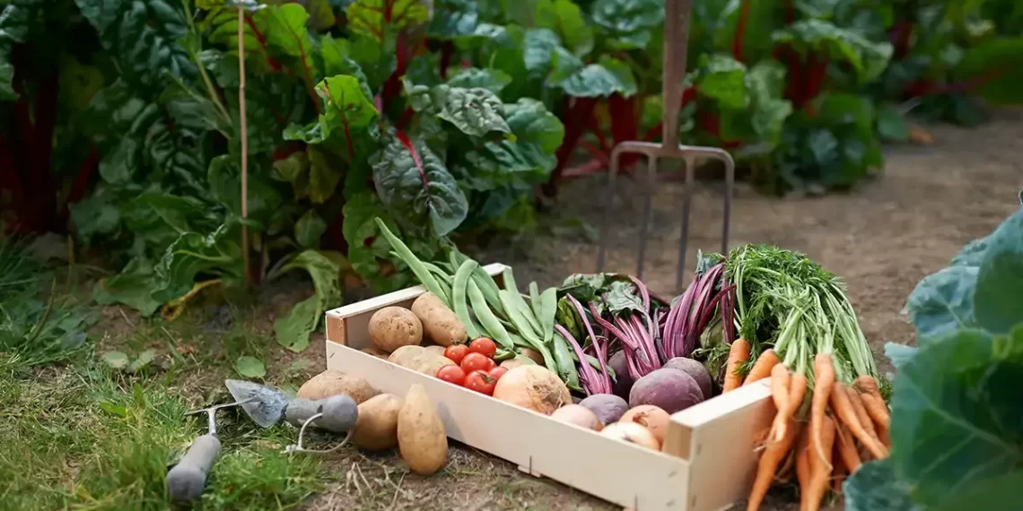 Grow Your Own Fruits and Vegetables