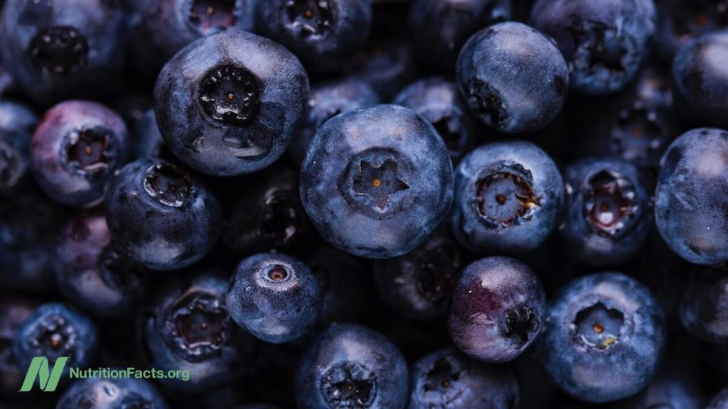 Wellhealthorganic.com:blueberry-brain-boosting-benefits
