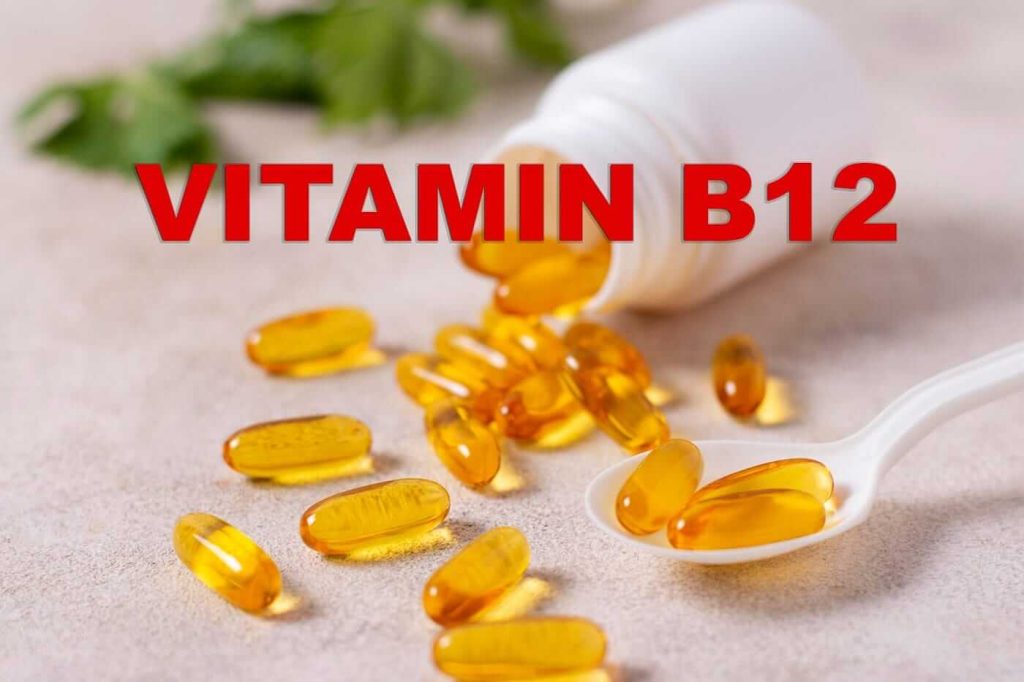 wellhealthorganic vitamin b12 foods