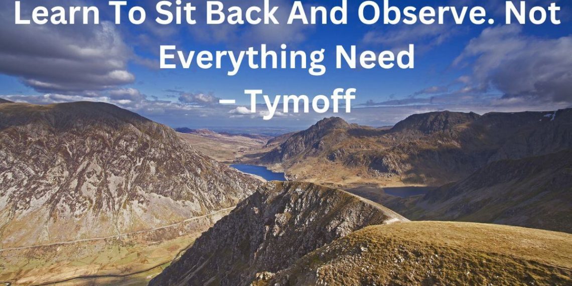 Learn to Sit Back and Observe. Not Everything Need - Tymoff