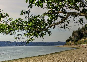 How to Enjoy a Rainy Day on Camano Island in Washington?