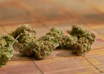 Is It Safe to Buy Weed Online in Canada