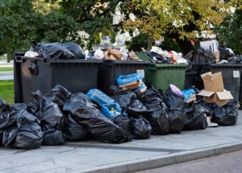 Planning a Major Cleanout? Here’s the Unexpected Hero You Need