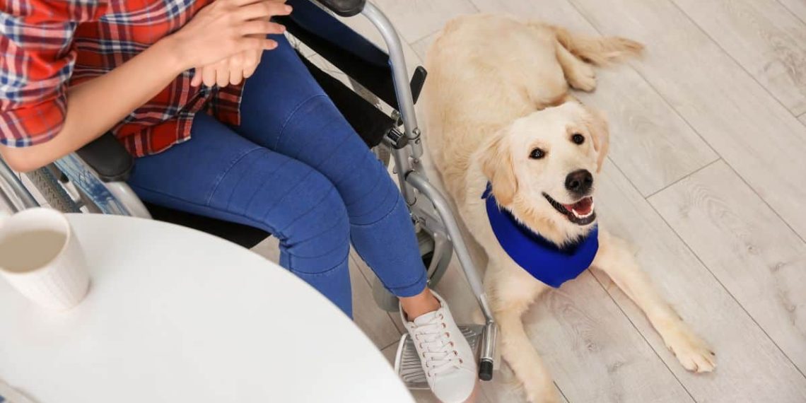 xr:d:DAFw-noH-jQ:3,j:3402875215154459326,t:23101118