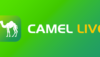 Camel Live – Your Gateway to World Football