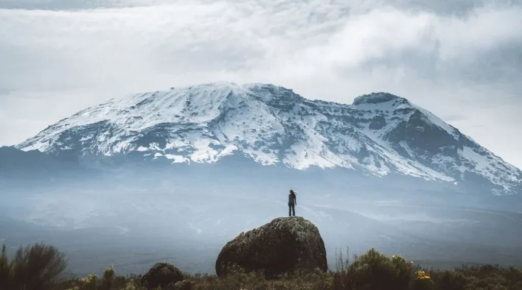 Beyond the Clouds: Stories from the Heights