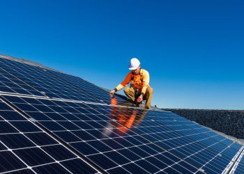 xr:d:DAF-pElwS54:19,j:513832712544047042,t:24032109