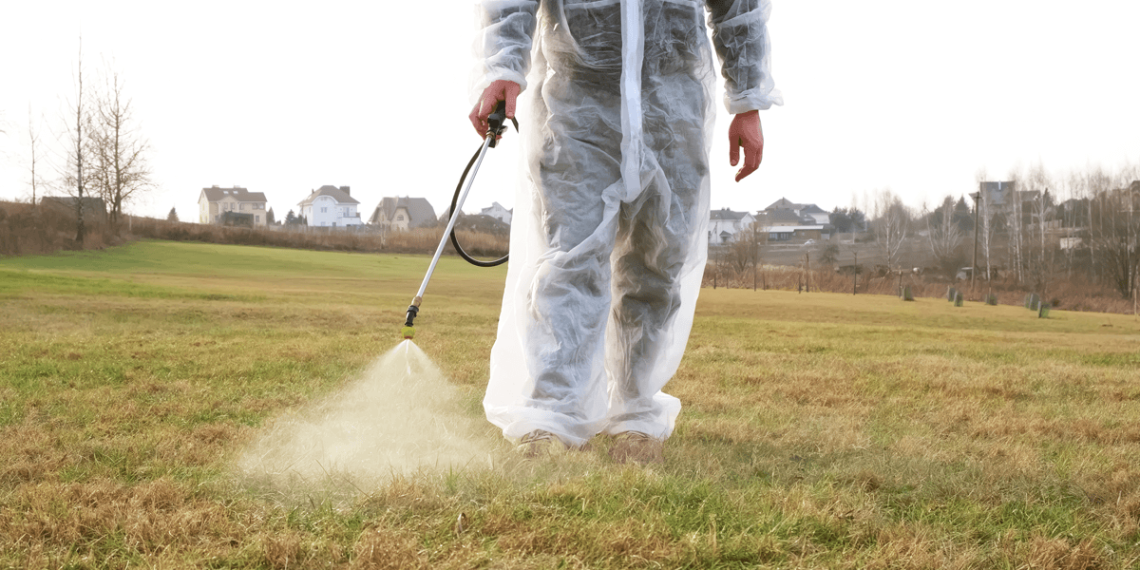 Mosquito and Tick Control: Pest Removal in New Hampshire Yards