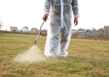Mosquito and Tick Control: Pest Removal in New Hampshire Yards