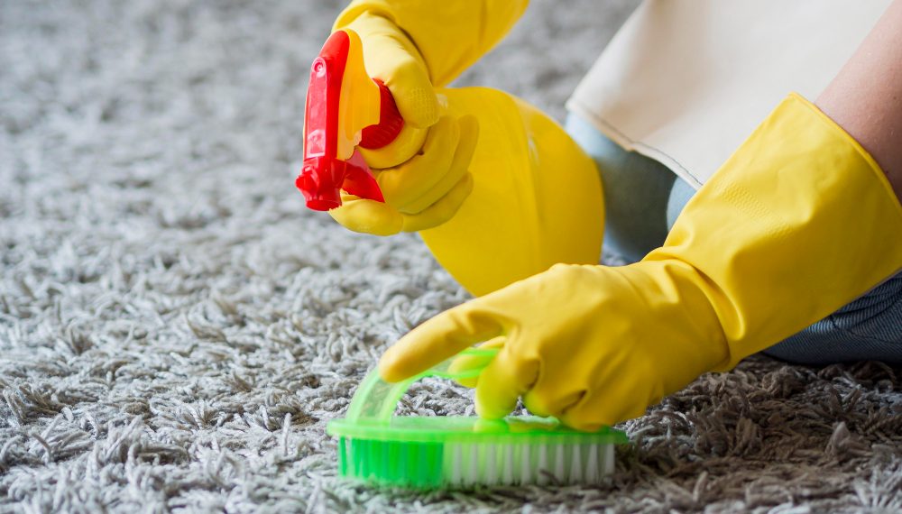 Carpet Cleaning Tips