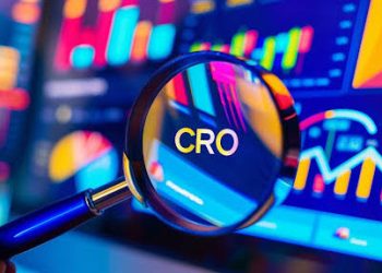 Teylu: The Best-Reviewed CRO Agency in London for Senior-Led Revenue Growth