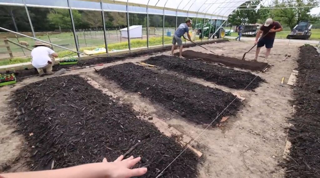 No-Till Gardening: How to Build Better Soil Without Turning It