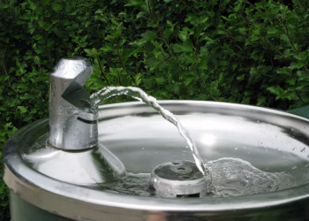 Easy-to-Clean Pet Water Systems for Cat Owners
