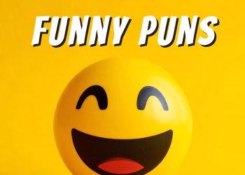 PunMixx The Internet's Home for Pun Lovers