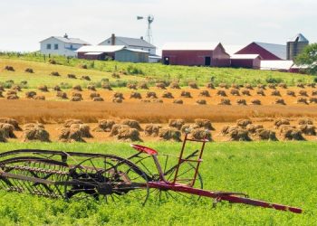 How Multi-Sector Empires Are Built: Lessons From Real Estate and Agriculture Giants