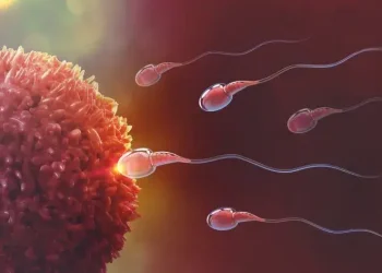 The Biological Engineering Of Human Reproduction
