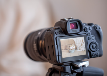 3 Key Factors to Consider When Choosing a Digital Camera