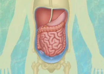 Peritoneal Mesothelioma