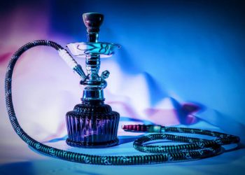 What Makes Disposable Vapes So Popular With Hookah Fans?